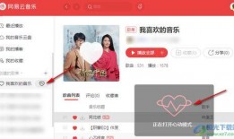网易云爆料姐姐事件视频,揭秘网络舆论背后的真相